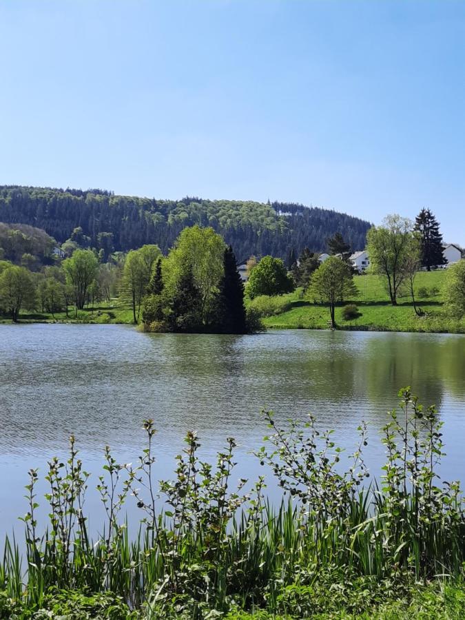Meisters Schick im Stryck Willingen Willingen  Exterior foto